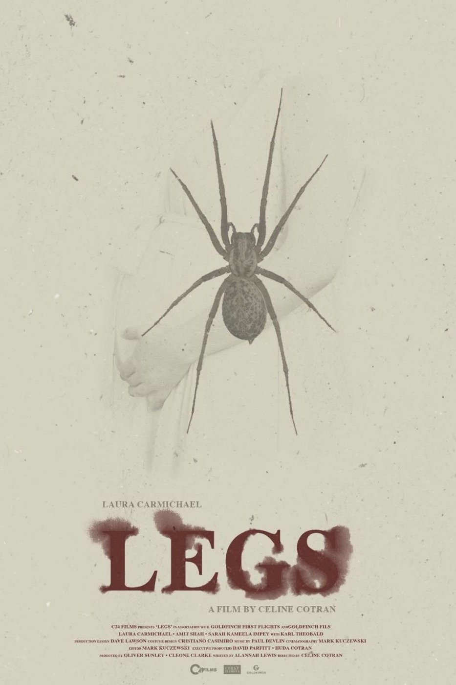 Постер Legs